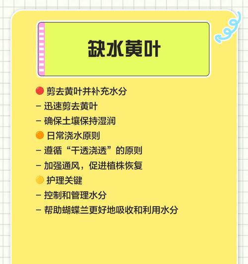 蝴蝶兰换盆后叶子发黄是什么原因？如何解决？