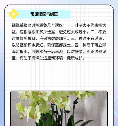 蝴蝶兰换盆后叶子发黄是什么原因？如何解决？