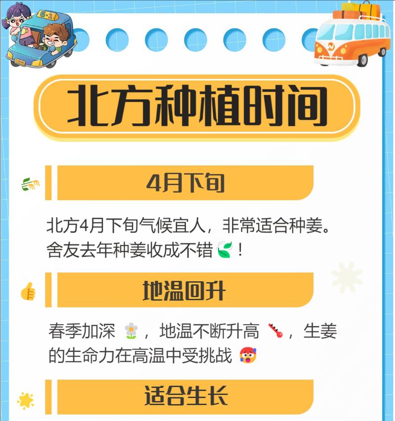 小生姜栽培的关键技术要点是什么？