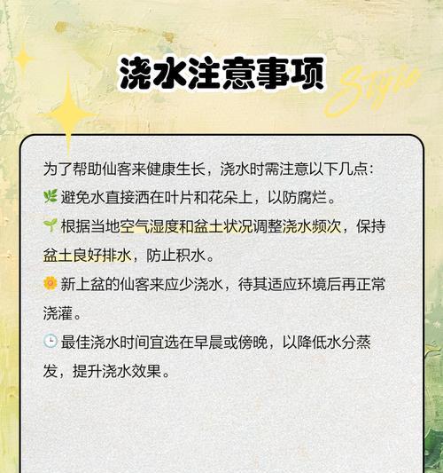 大地浇水的最新方法有哪些？