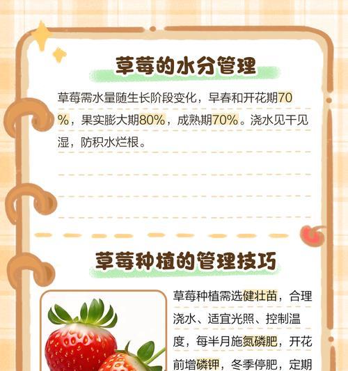 无毒草莓栽培技术要点是什么？如何实现无毒栽培？