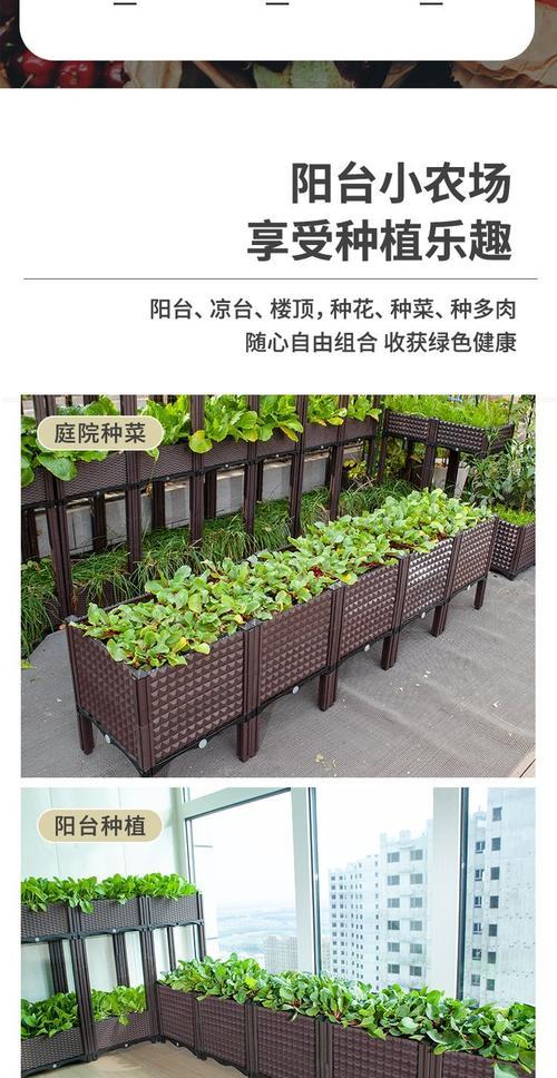韭菜花移栽后叶子发黄的解决方法是什么？