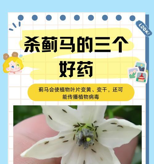 控制木本植物开花的有效方法有哪些？