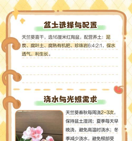盆栽天竺葵如何正确浇水和护理？