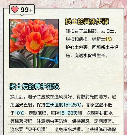 君子兰什么土不烂根呢？如何选择合适的土壤？