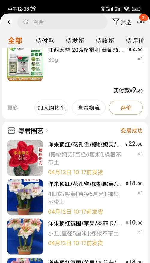 蜂鸟朱顶红价格高的原因是什么？