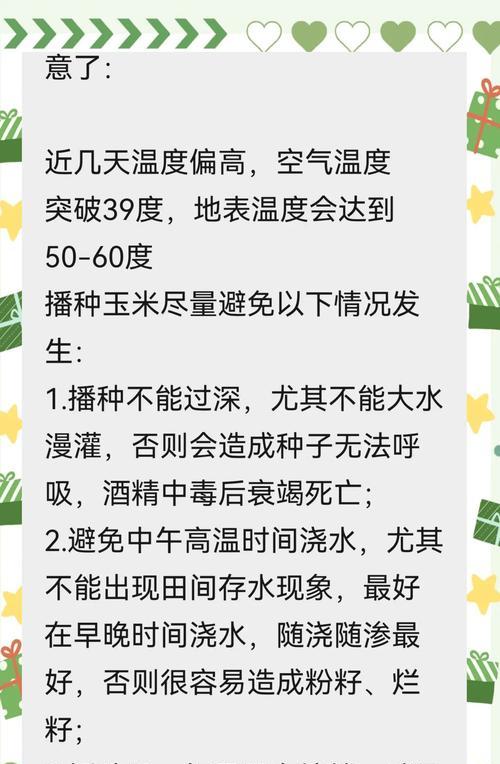 玉米播种时应避免哪些作物？