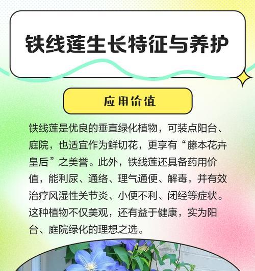 铁线莲大苗全部开花吗怎么养？如何促进铁线莲大苗的开花？