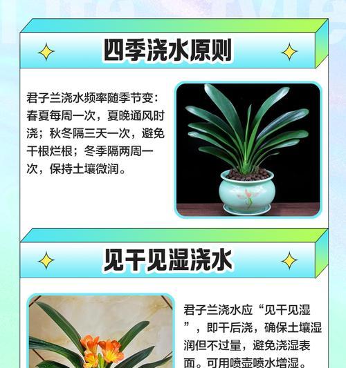 君子兰虫害的处理方法是什么？