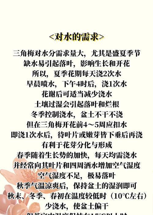 新疆低湿度环境下三角梅的养护技巧？