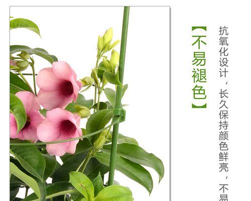 月季收纳器材的正确使用方法是什么？