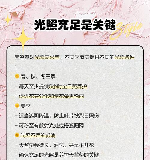 半开天竺葵的养护要点是什么？