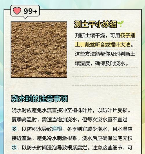 室外盆栽君子兰的正确浇水方法是什么？