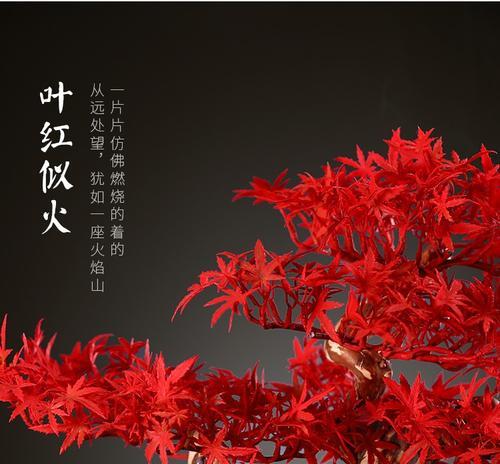 盆景摆件红色灯的正确摆放方式是什么？