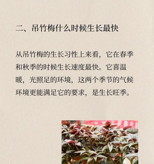 什么植物靠太阳播种最好呢？播种时的光照条件如何掌握？