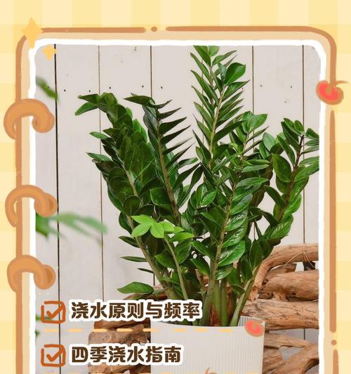 减少浇水次数有哪些好处？