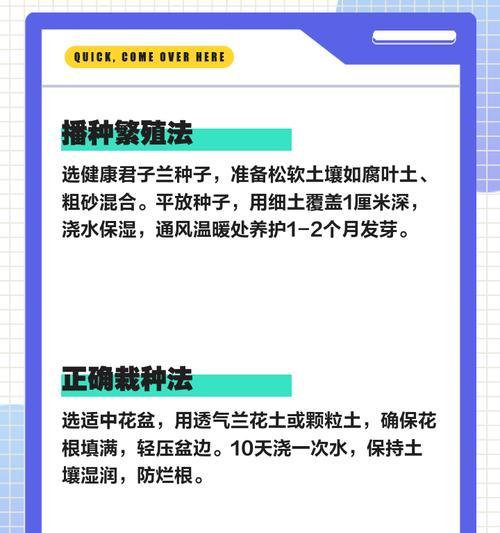 君子兰摘花的正确方法是什么？