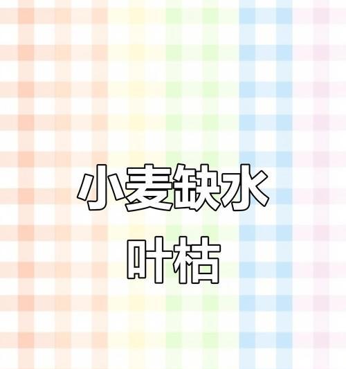 小麦叶子发黄掉叶怎么办？如何有效防治？