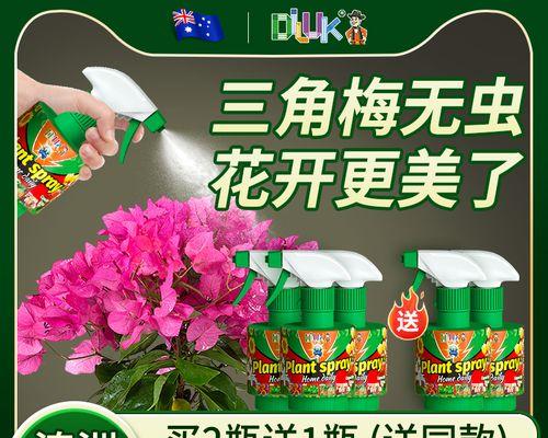 三角梅蚜虫感染的处理方法是什么？