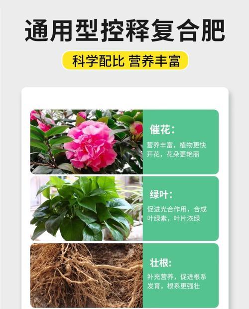 花迷如何自制肥料？自制肥料的配方和使用方法是什么？