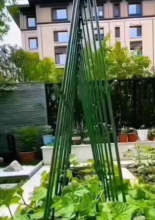 苦瓜平架栽培的关键技术是什么？
