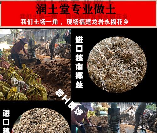 鸭脚木肥料如何自制？自制肥料的方法是什么？