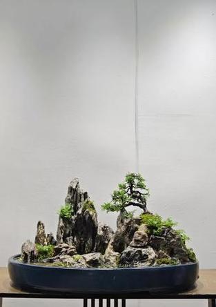 大型盆景流水问题如何解决？有哪些处理方法？