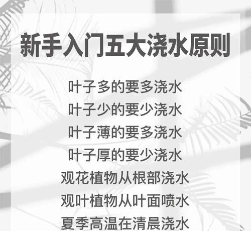 吊花浇水的正确方法是什么？怎样才能保证植物健康？