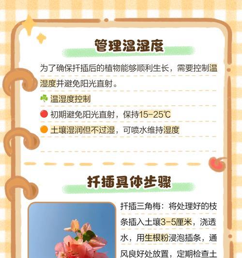 怎么用瓶子来扦插三角梅？扦插三角梅的步骤和注意事项是什么？