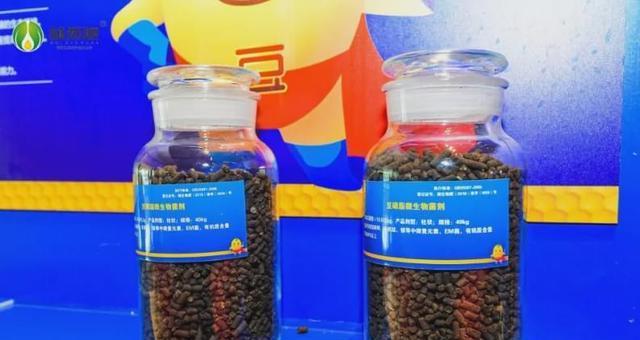 自制豆菜肥料配方有哪些窍门？