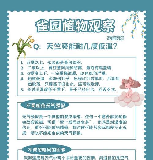 天竺葵无性种苗的正确养护方法是什么？