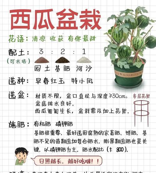 甜瓜种植初期浇水方法是什么？如何保证水分充足？