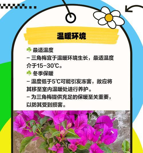冬梅怎么不叫叶子发黄呢？有哪些预防措施？