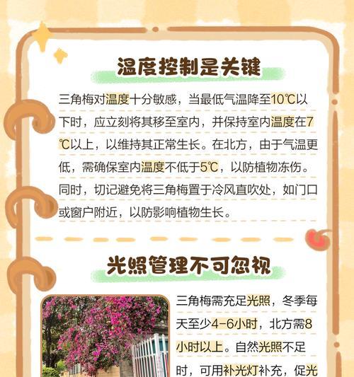 冬梅怎么不叫叶子发黄呢？有哪些预防措施？