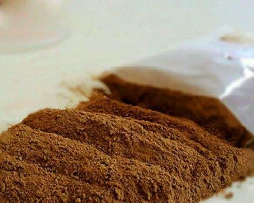 适合养水生植物的碗有哪些？