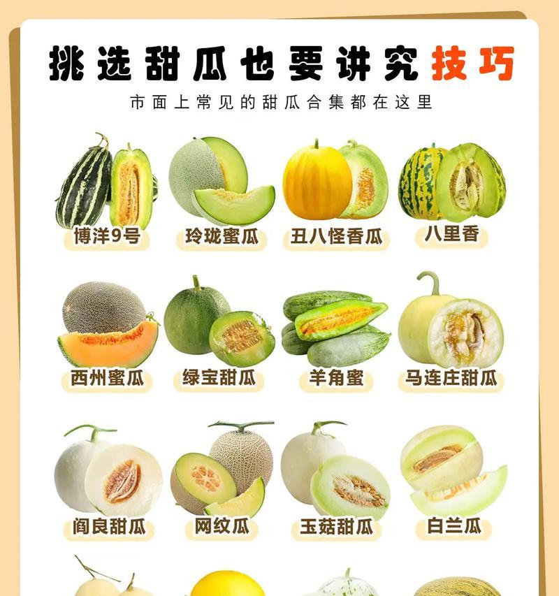 小田瓜最佳播种时间及注意事项？
