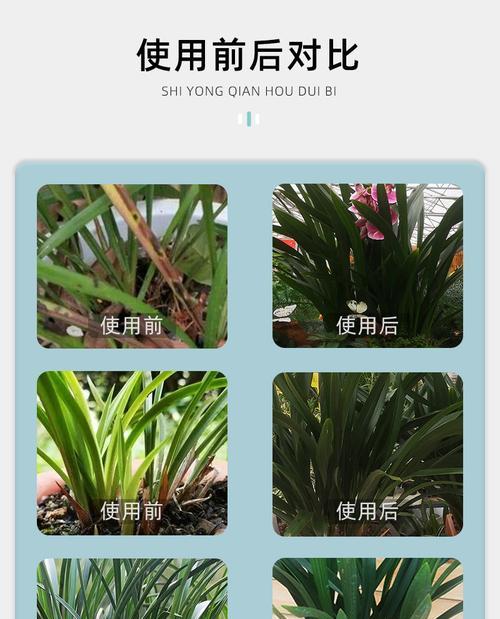 君子兰颗粒基质的正确选择方法？