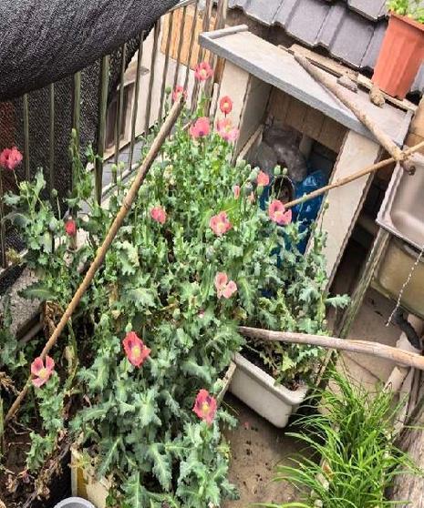 切勿播种是什么意思？播种禁忌有哪些？