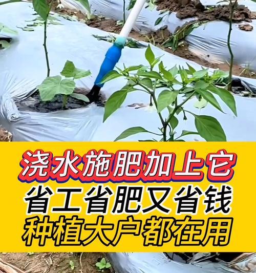 种植大户自制肥料的有效方法是什么？