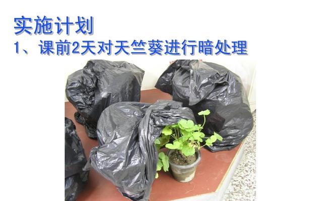 天竺葵出现虫卵该如何处理？