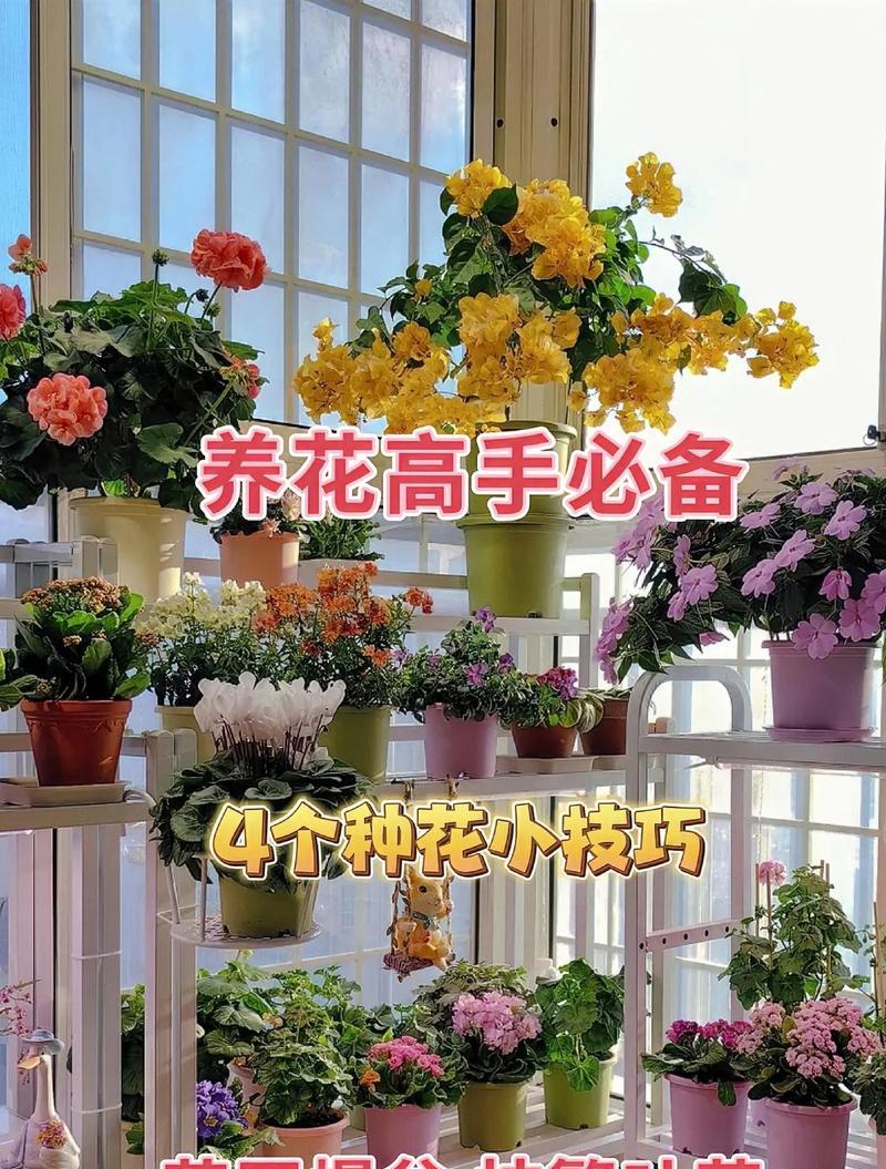 有哪些养花小技巧？