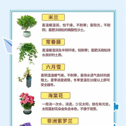 君子兰生虫了怎么办？有哪些有效防治方法？