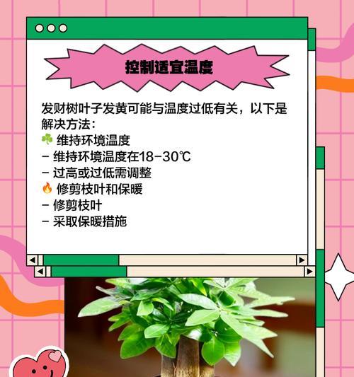 松叶子发黄了怎么补救？有哪些快速的方法？