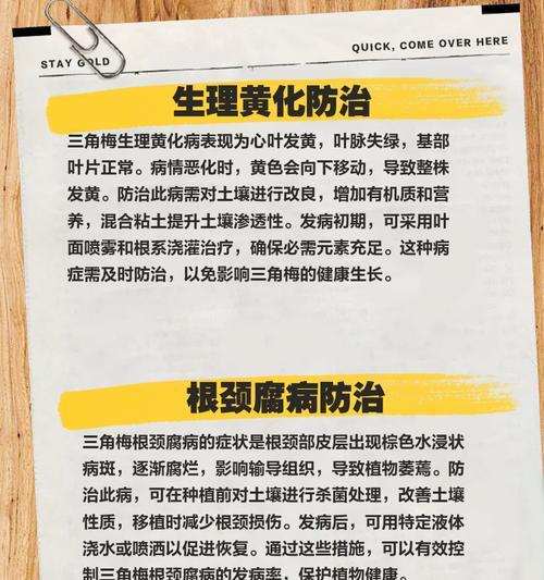三角梅遭遇蚜虫侵害怎么办？