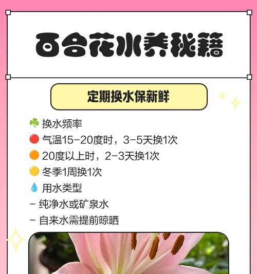 百合浇水的最佳方法是什么？需要注意什么？