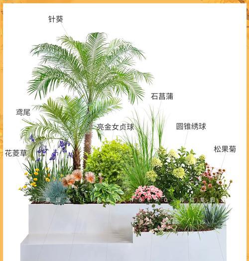 阳台花箱悬挂植物选择有哪些？
