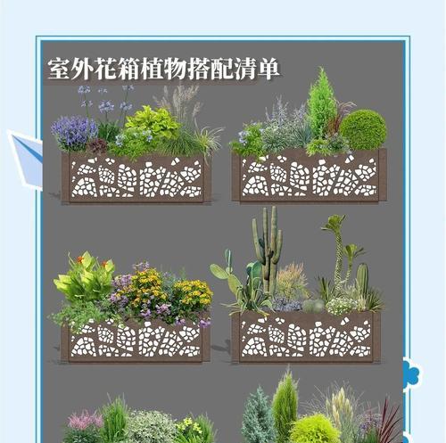 阳台花箱悬挂植物选择有哪些？
