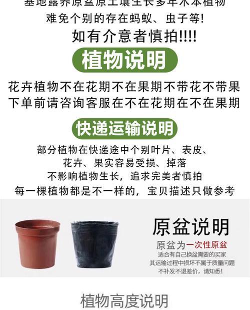 老庄三角梅的制作步骤是什么？