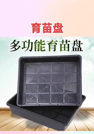 播种员箱空代表什么？