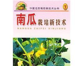 大地南瓜栽培的关键技术要点是什么？